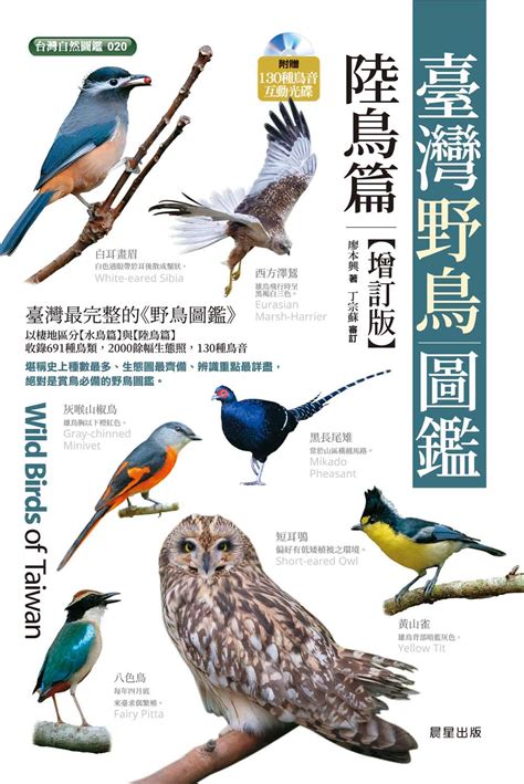 鳥圖|台灣鳥類網路圖鑑